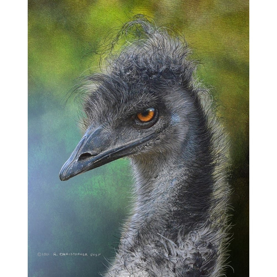 Emu Portrait Dr. Suess Bird Poster Print - Christopher Vest-VARPDX84086 Image 1