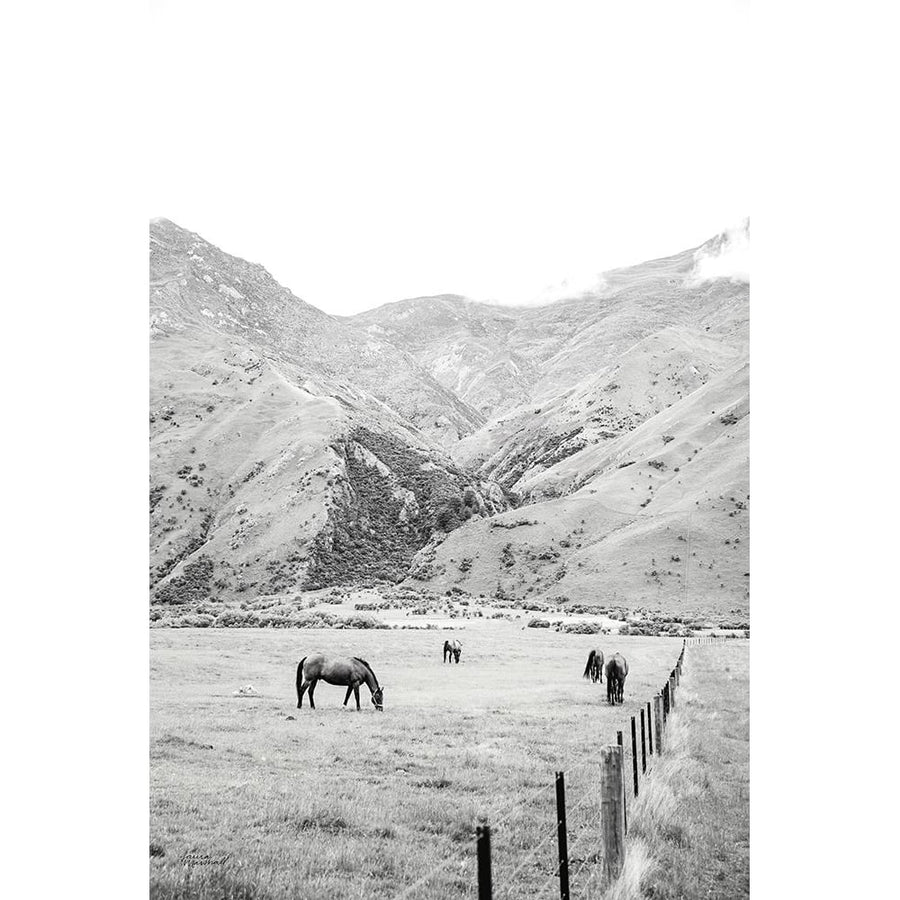 Moke Lake Horses V Poster Print - Laura Marshall-VARPDX84133 Image 1