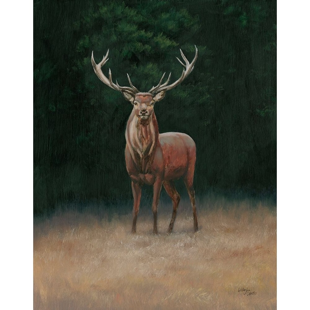 Stag Poster Print - Studio Wellington-VARPDX84210 Image 1