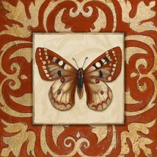 Moroccan Butterfly I Poster Print by Patricia Pinto-VARPDX8424K Image 1