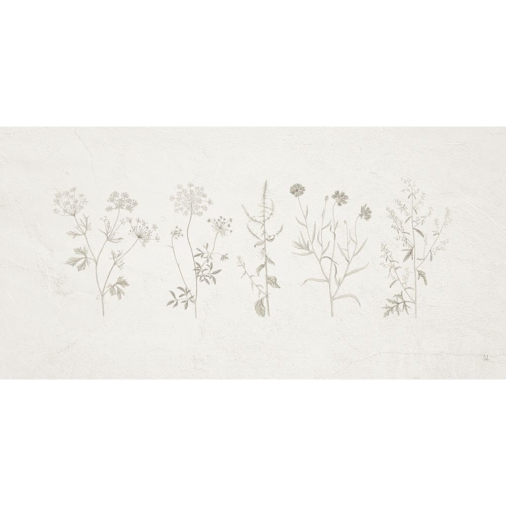 Gifts from the Meadow I Poster Print - Sarah Adams-VARPDX84249 Image 1