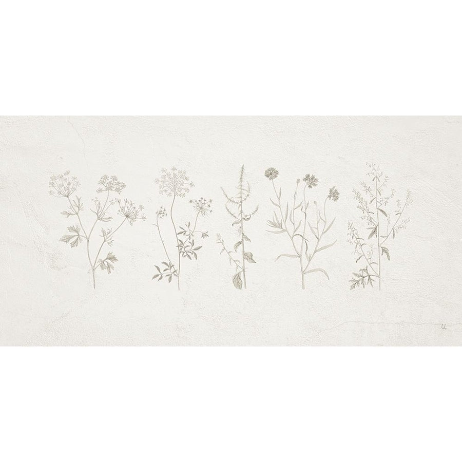 Gifts from the Meadow I Poster Print - Sarah Adams-VARPDX84249 Image 1