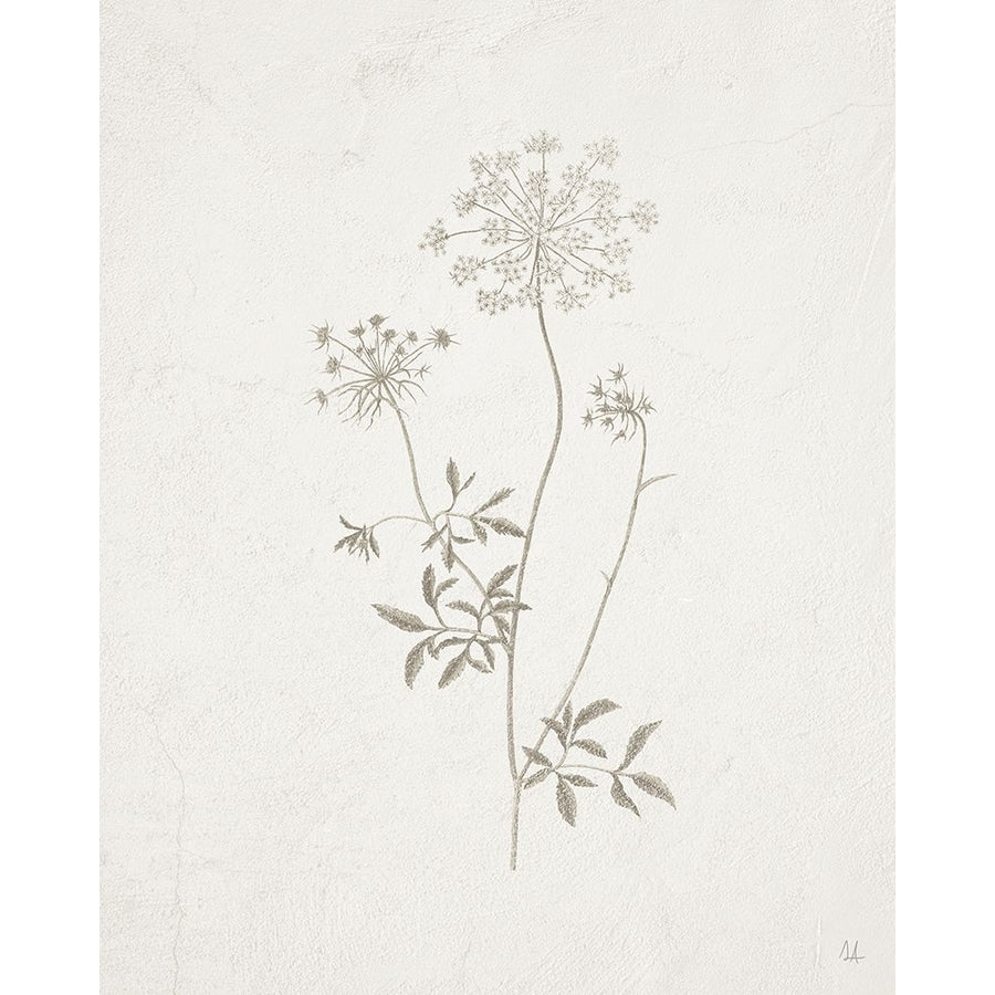 Gifts from the Meadow III Poster Print - Sarah Adams-VARPDX84251 Image 1