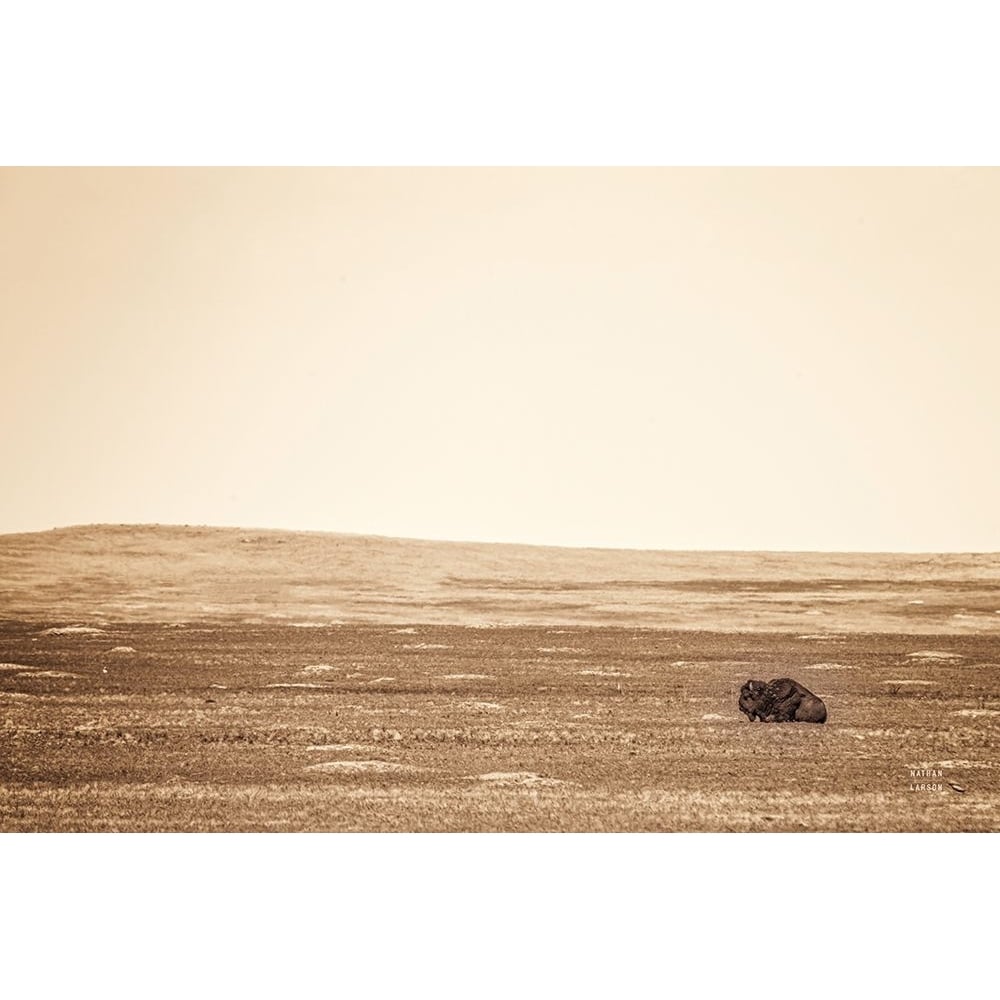 Badlands Guard Sepia Poster Print - Nathan Larson-VARPDX84262 Image 1