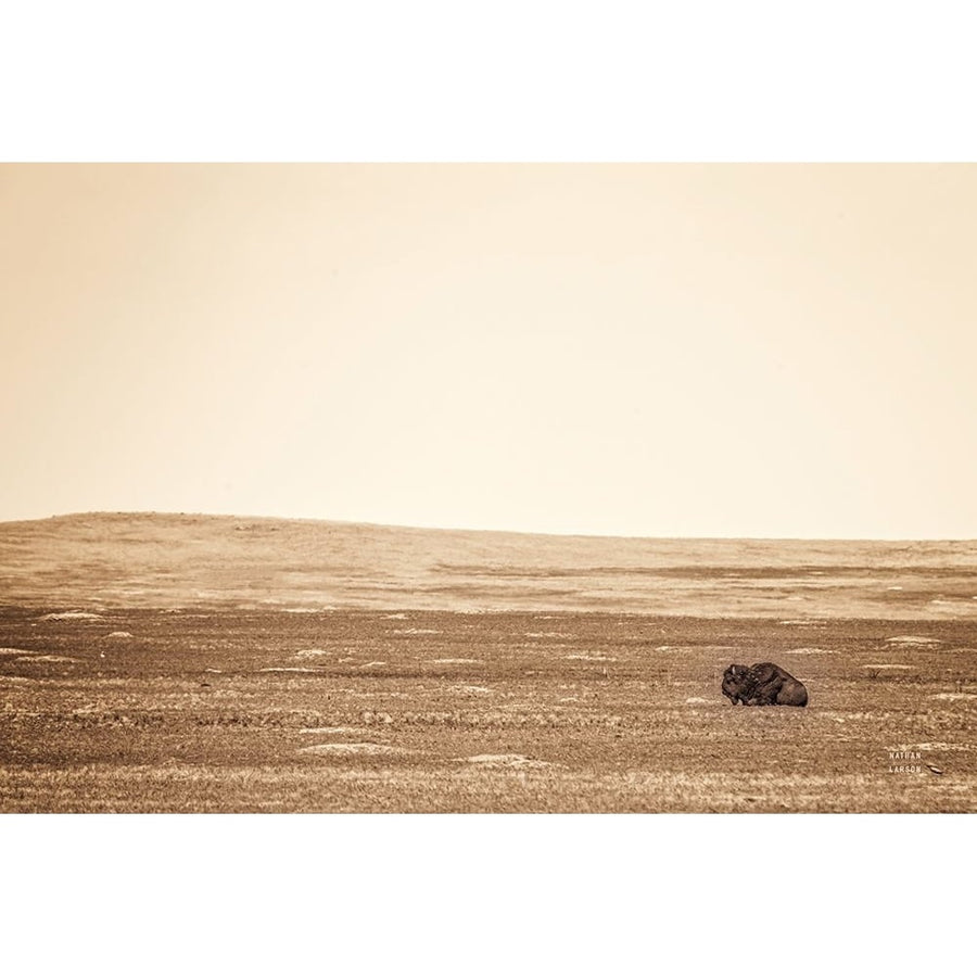 Badlands Guard Sepia Poster Print - Nathan Larson-VARPDX84262 Image 1