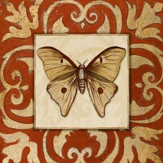 Moroccan Butterfly II Poster Print by Patricia Pinto-VARPDX8425K Image 1