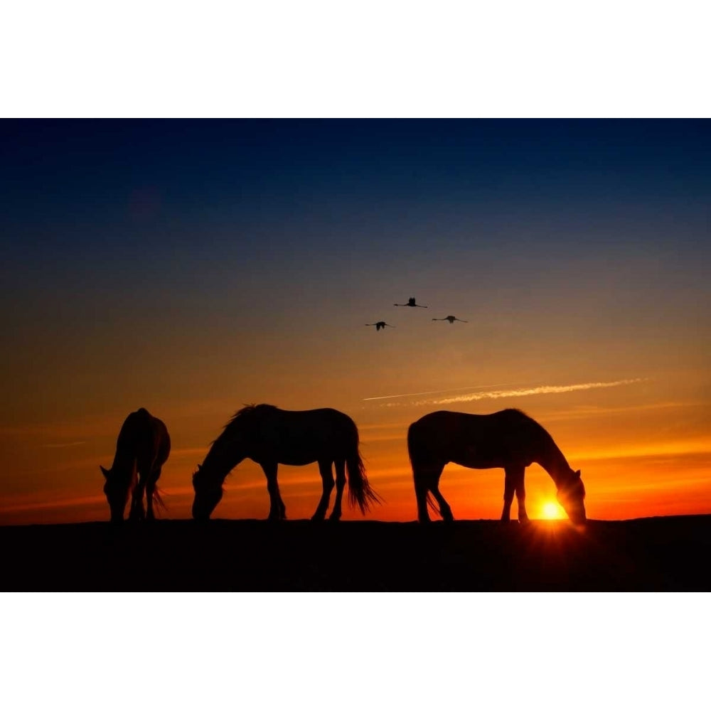 Fly Over Poster Print - PHBurchett-VARPDX84340GG Image 1