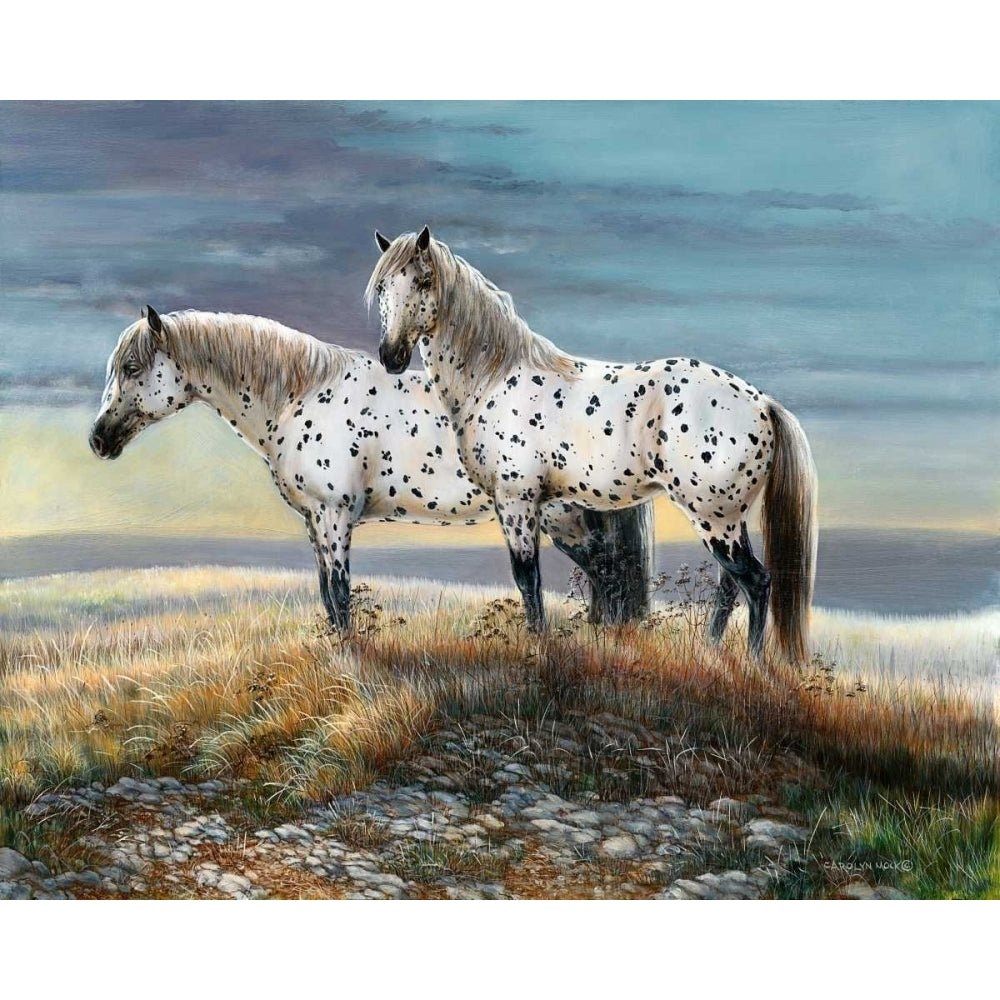 Appaloosa Sundown Poster Print - Carolyn Mock-VARPDX84351GG Image 1