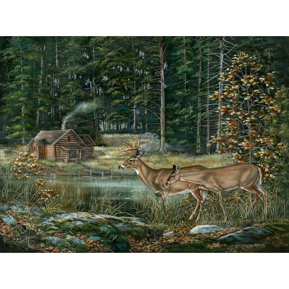 Twilight Sighting Poster Print - Carolyn Mock-VARPDX84360GG Image 1