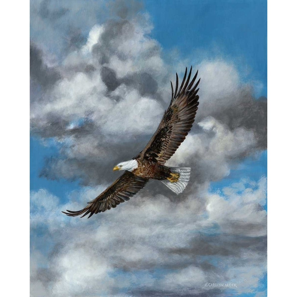 Soaring Poster Print - Carolyn Mock-VARPDX84371GG Image 1