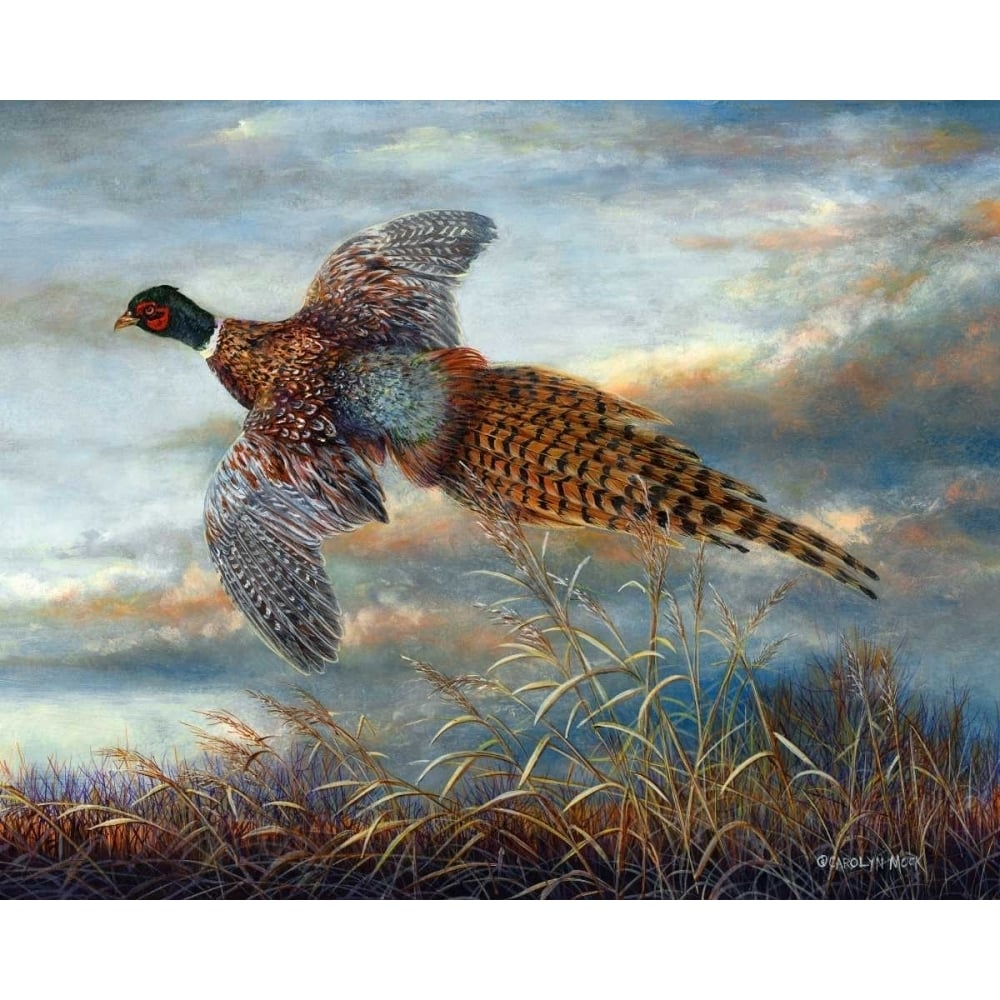 Taking Flight Poster Print - Carolyn Mock-VARPDX84367GG Image 1