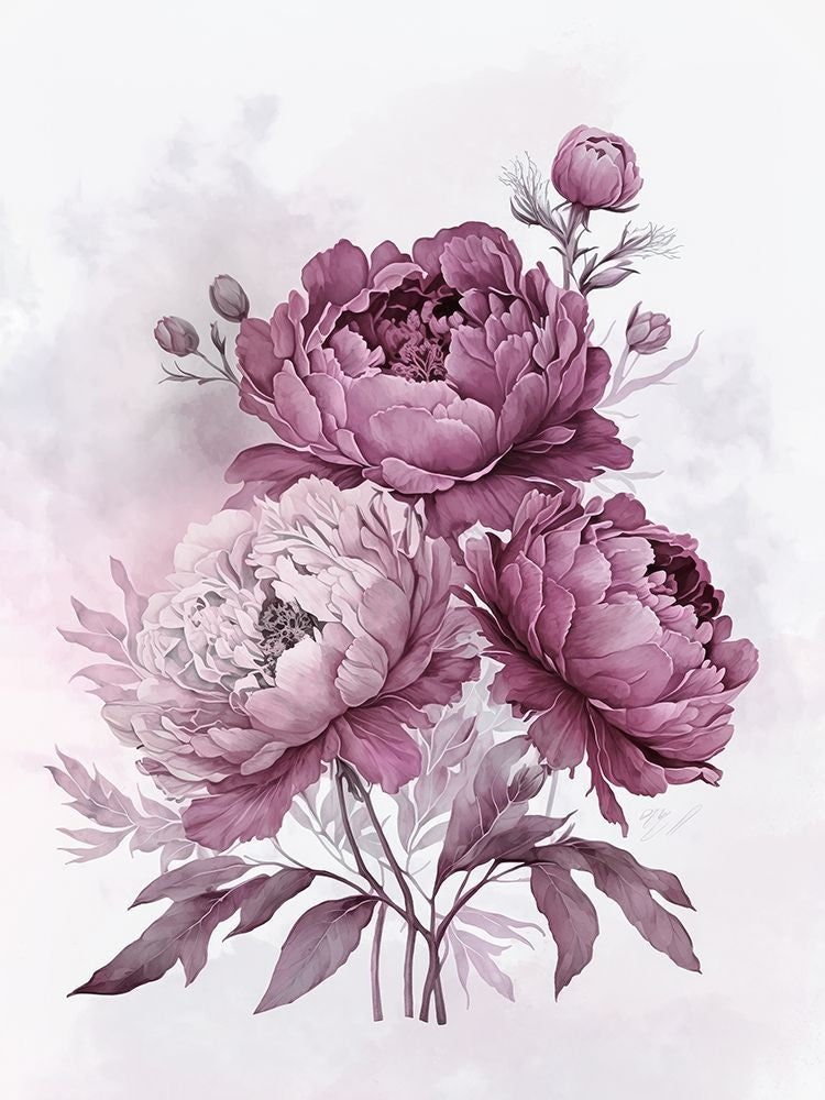 Blush Pink Peonies Nostalgia II Poster Print - Andrea Haase-VARPDX84371 Image 1