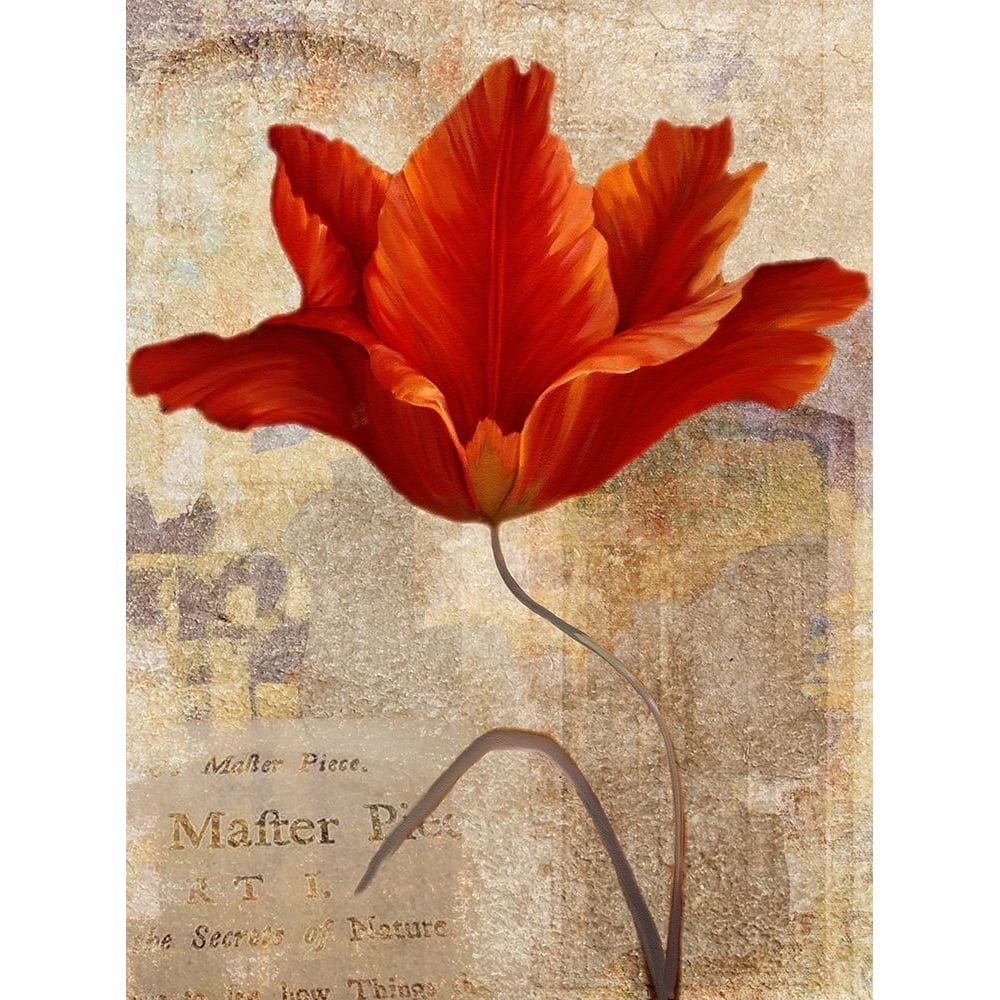 Red Masterpiece I Poster Print - Louise Montillo-VARPDX84511 Image 1