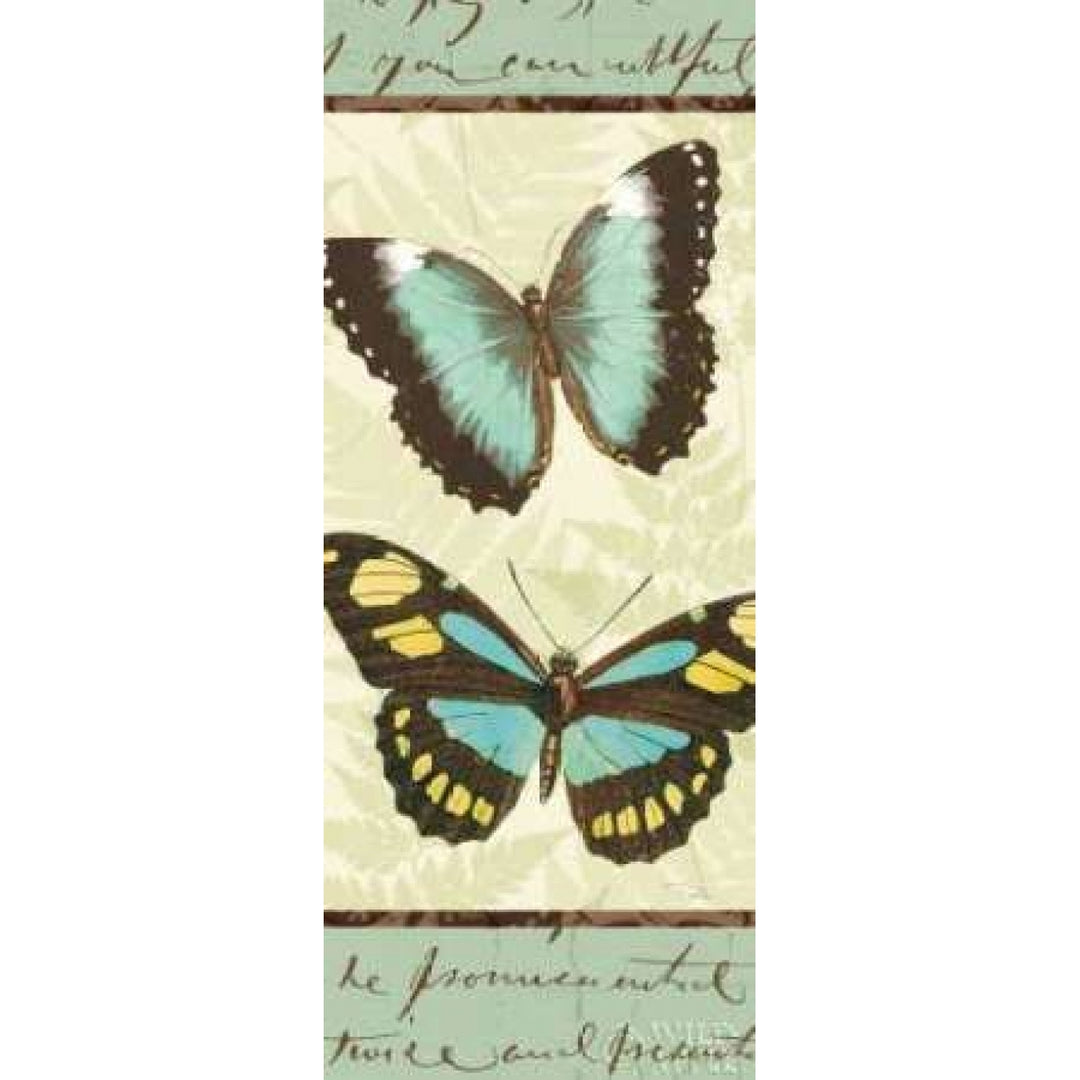 Butterfly Patchwork II Poster Print by Pela Studio-VARPDX8485 Image 1