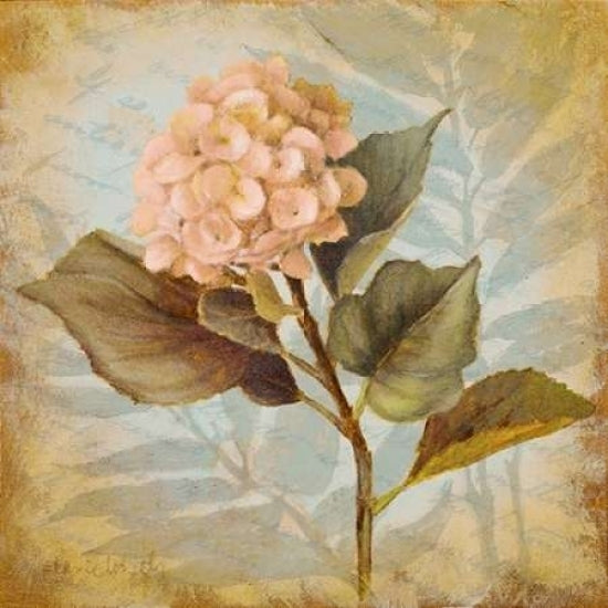 Pink Hydrangea Portrait Poster Print by Lanie Loreth-VARPDX8486 Image 2