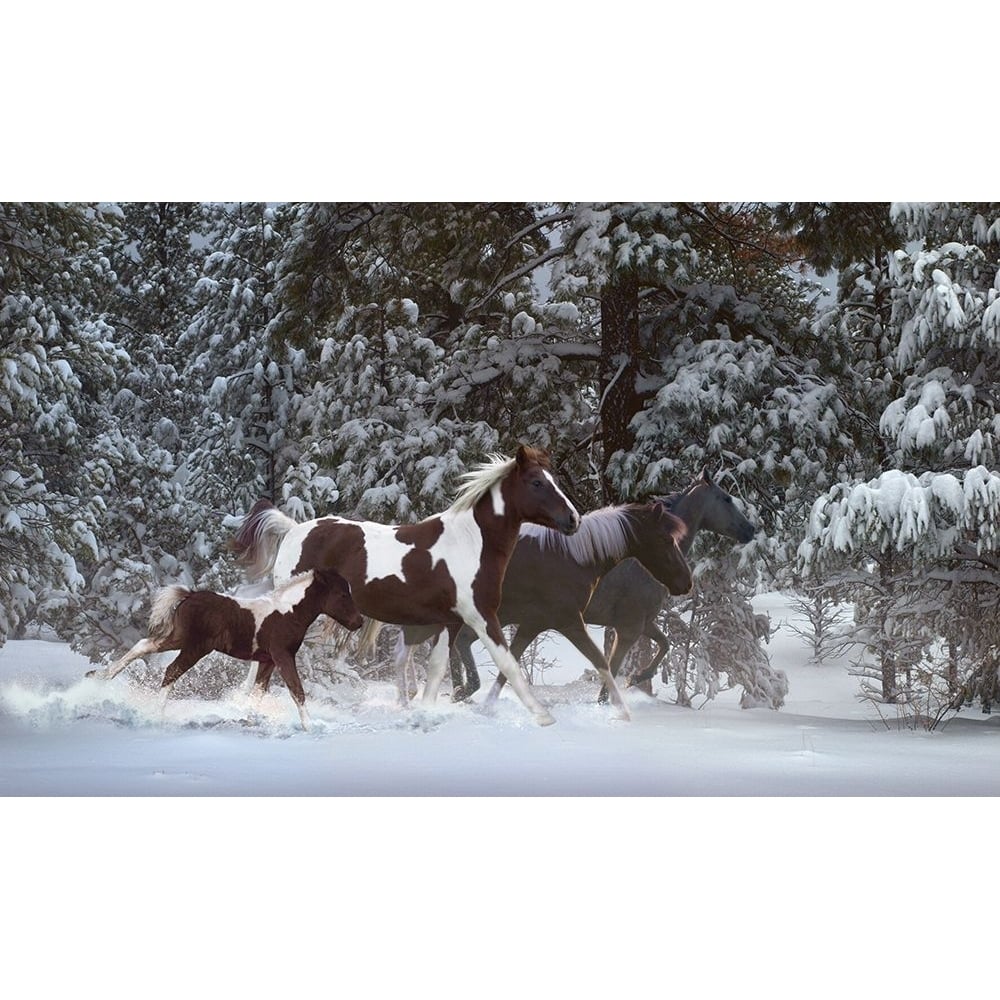 Snowy Runners Poster Print - Steve Hunziker-VARPDX84969 Image 1