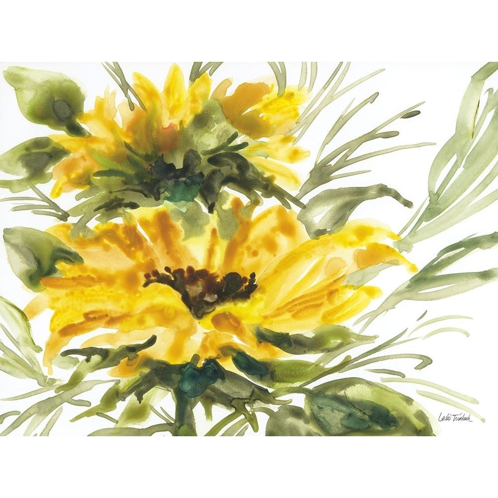 Washy Sunflower Poster Print - Leslie Trimbach-VARPDX85028 Image 1