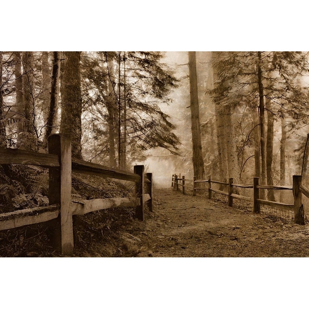 Down the Misty Path Poster Print - Don Schwartz-VARPDX85059 Image 1