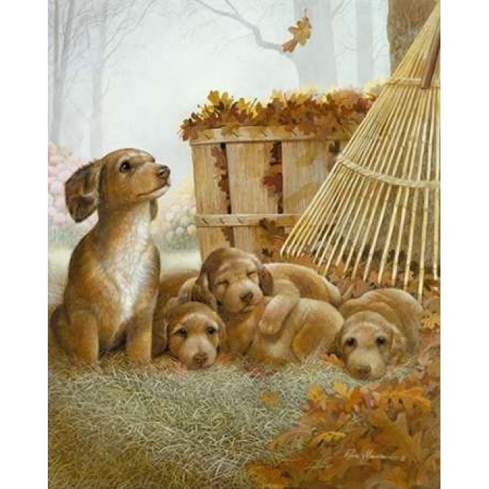 Autumn Playtime Poster Print by Ruane Manning-VARPDX8507B Image 2