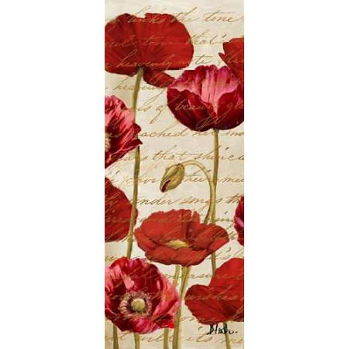 Red Poppies Panel II Poster Print by Patricia Pinto-VARPDX8510E Image 2