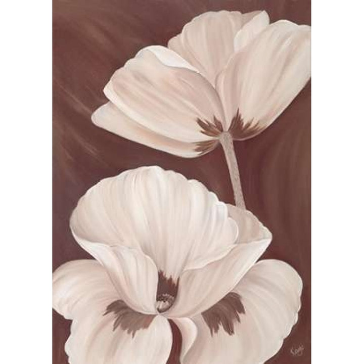 Chocolate Poppies Poster Print by Kaye Lake-VARPDX85152 Image 1