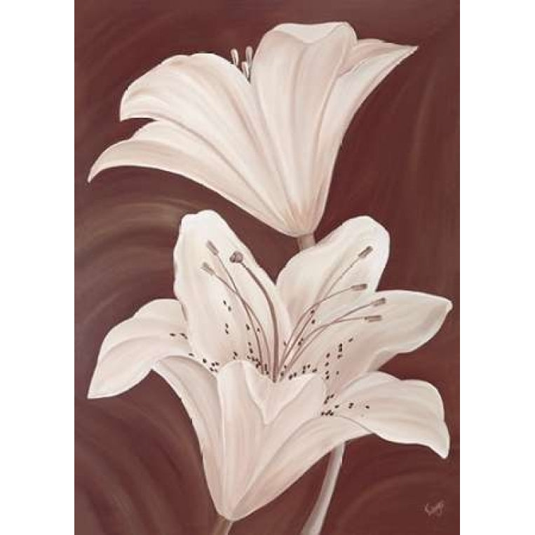 Chocolate Lillies Poster Print by Kaye Lake-VARPDX85151 Image 1