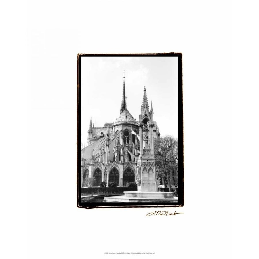 Notre Dame Cathedral III Poster Print - Laura DeNardo-VARPDX85202F Image 1