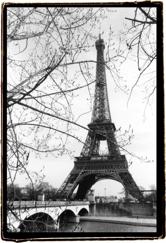 Eiffel Tower Along The Seine River Poster Print - Laura DeNardo-VARPDX85205F Image 1