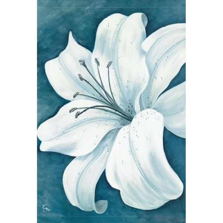 Wistful Lily I Poster Print by Kaye Lake-VARPDX85231 Image 1