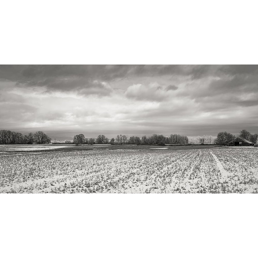 Snow Dusted Field Poster Print - Don Schwartz-VARPDX85269 Image 1