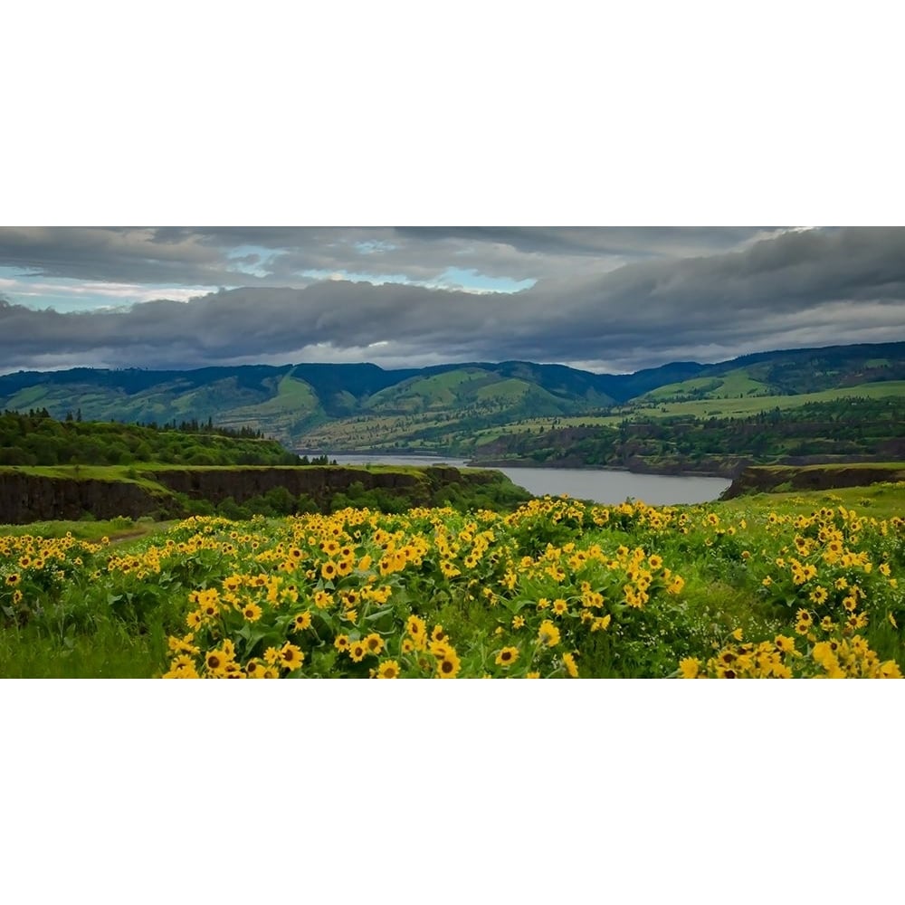 Spring Bursts Along the Columbia Poster Print - Don Schwartz-VARPDX85288 Image 1