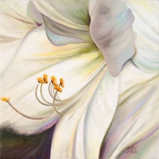 White Lily I Poster Print by Patricia Pinto-VARPDX8535 Image 2