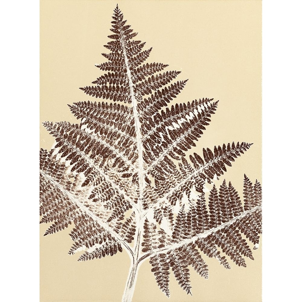 Fern 20 Poster Print - Studio MMB-VARPDX85494 Image 1