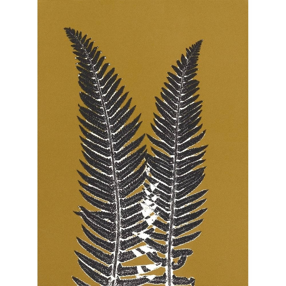 Fern 2 Poster Print - Studio MMB-VARPDX85511 Image 1