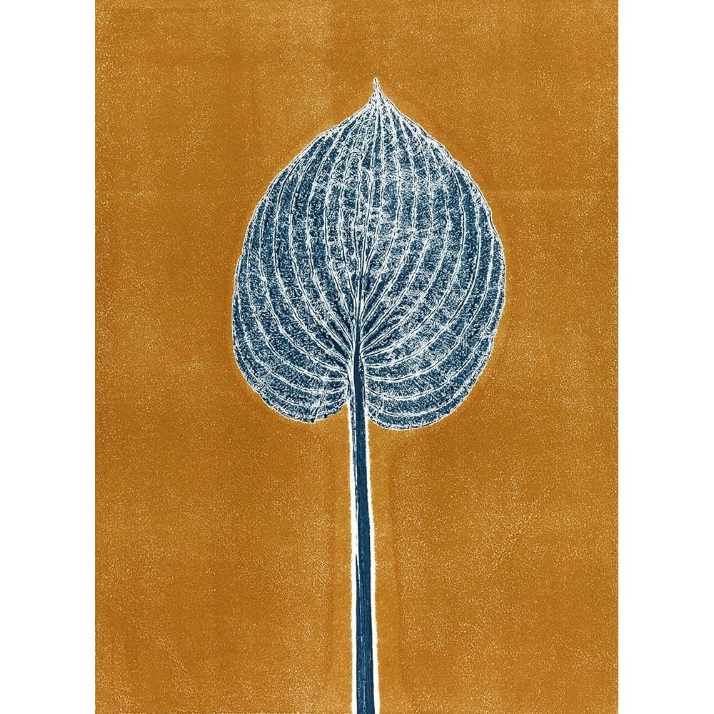 Nutmeg Hosta 1 Poster Print - Studio MMB-VARPDX85527 Image 1