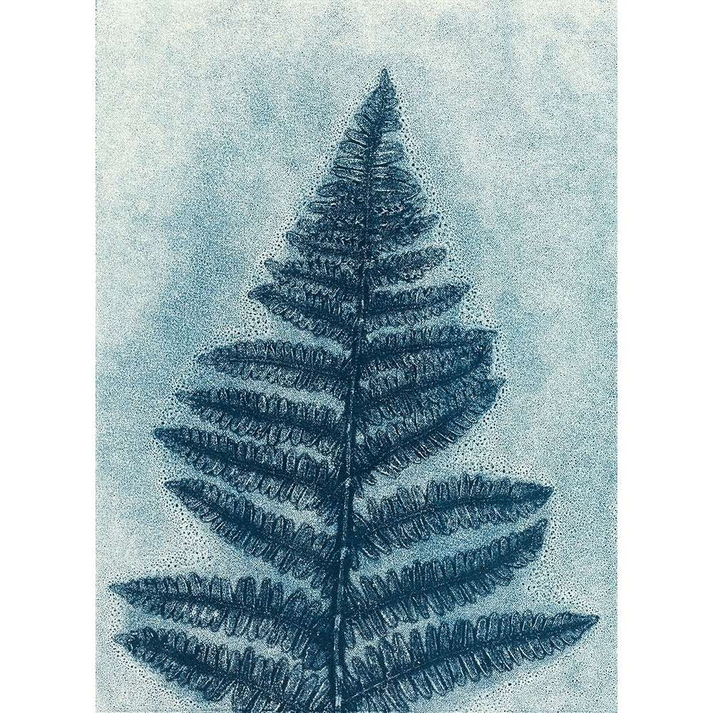 Blue Fern 2 Poster Print - Studio MMB-VARPDX85525 Image 1