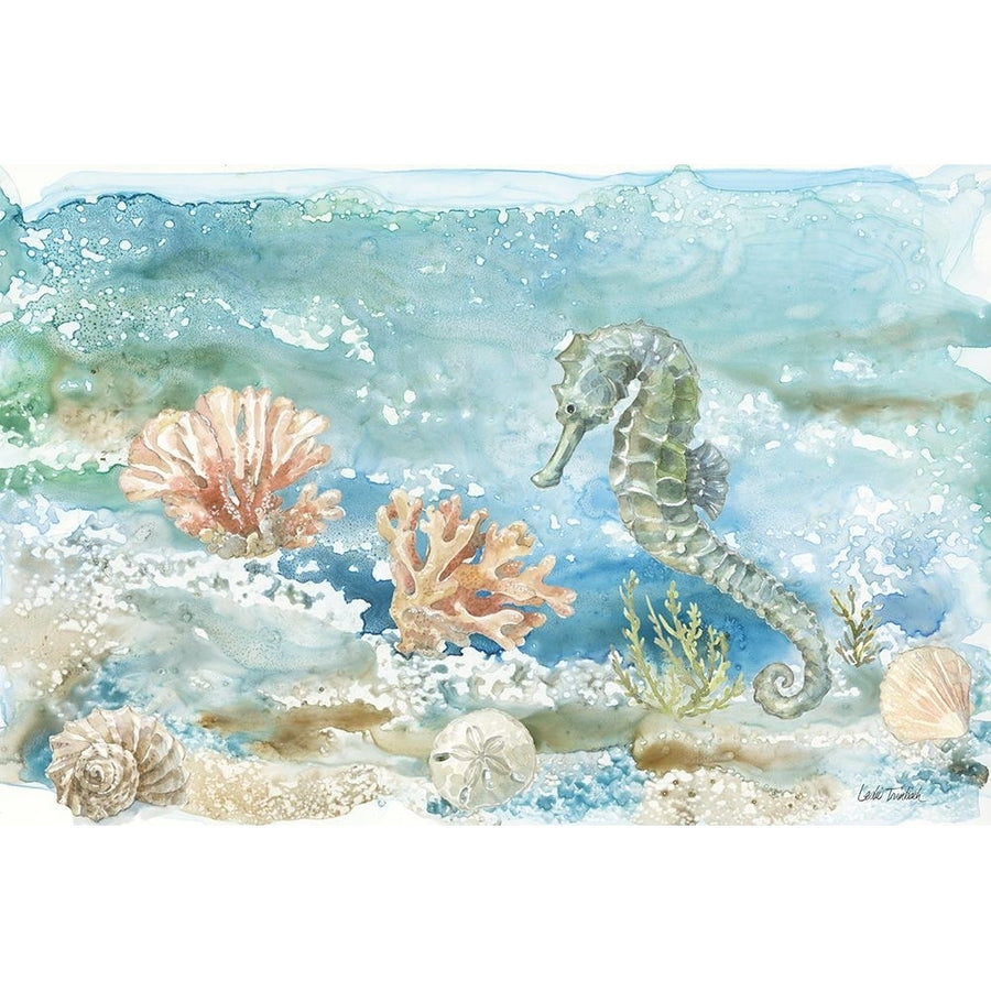 Under Sea Life II Poster Print - Leslie Trimbach-VARPDX85638 Image 1