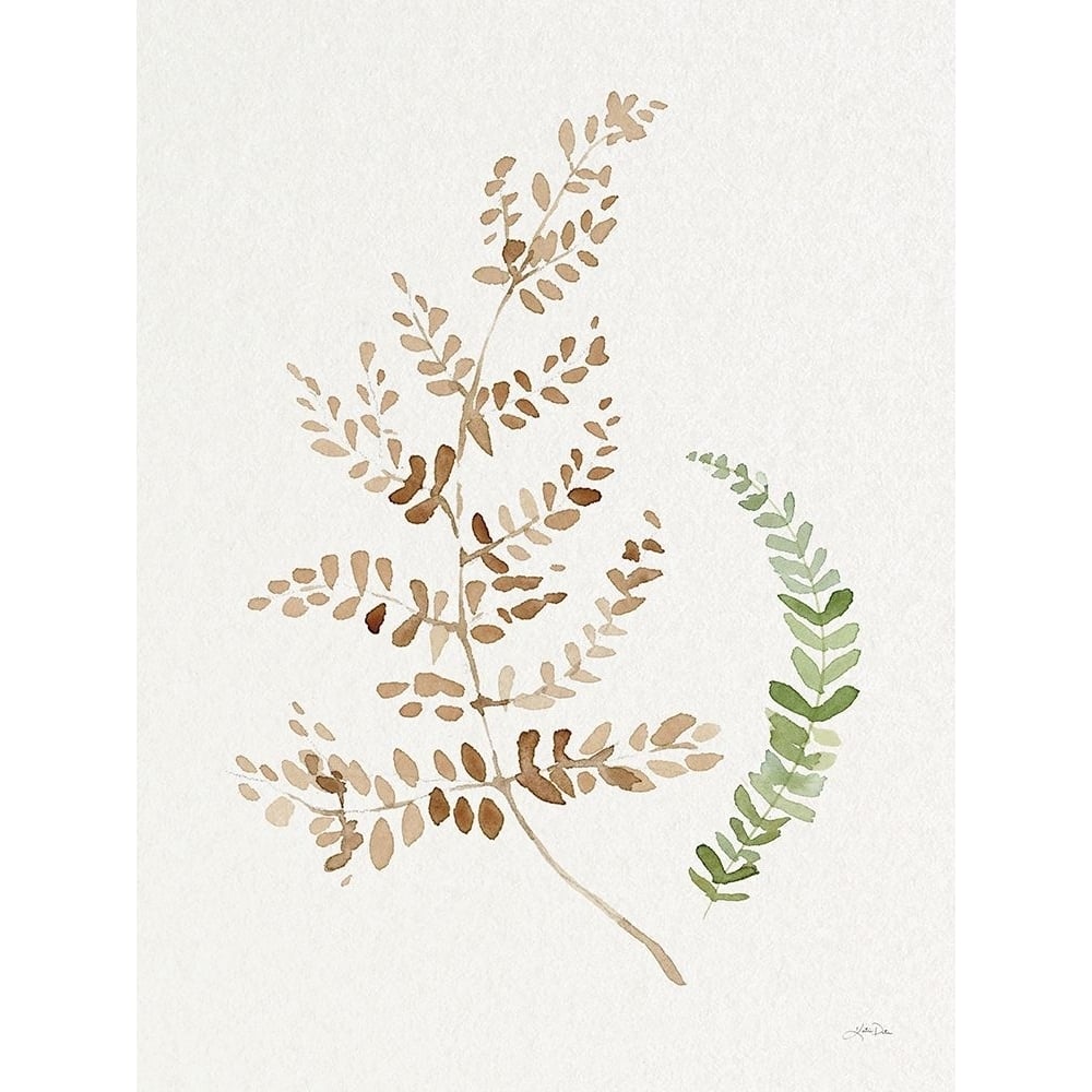 Forest Ferns II Poster Print - Katrina Pete-VARPDX85780 Image 1