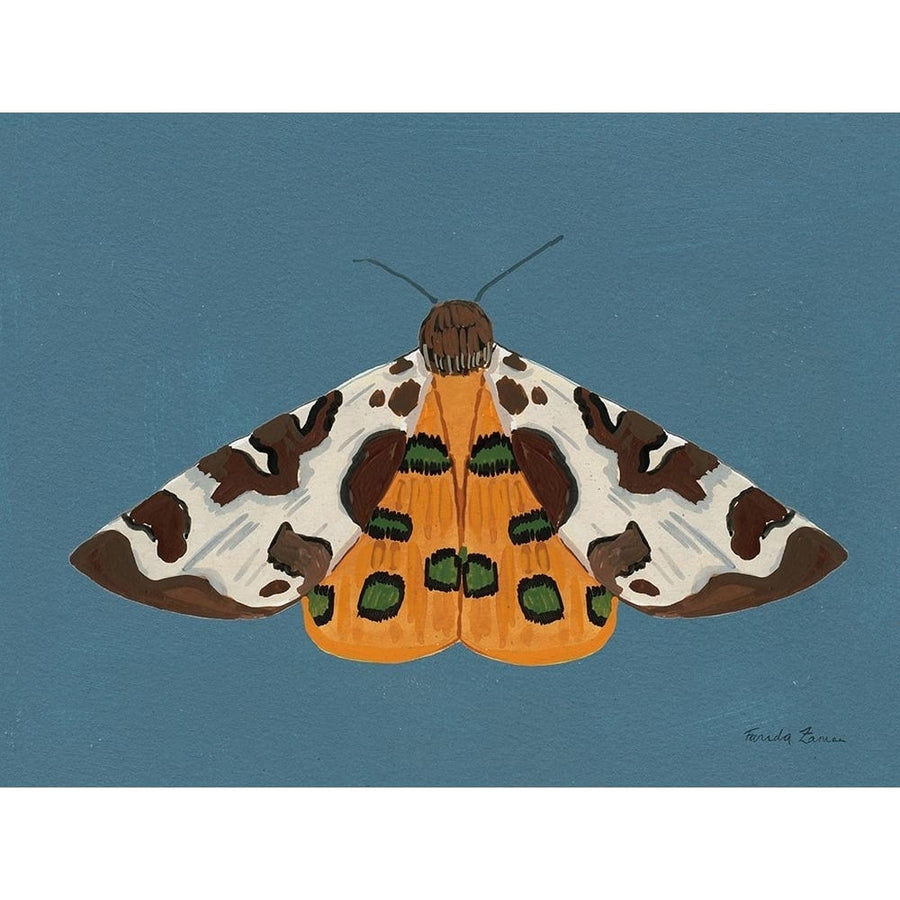 Moth II Poster Print - Farida Zaman-VARPDX85793 Image 1