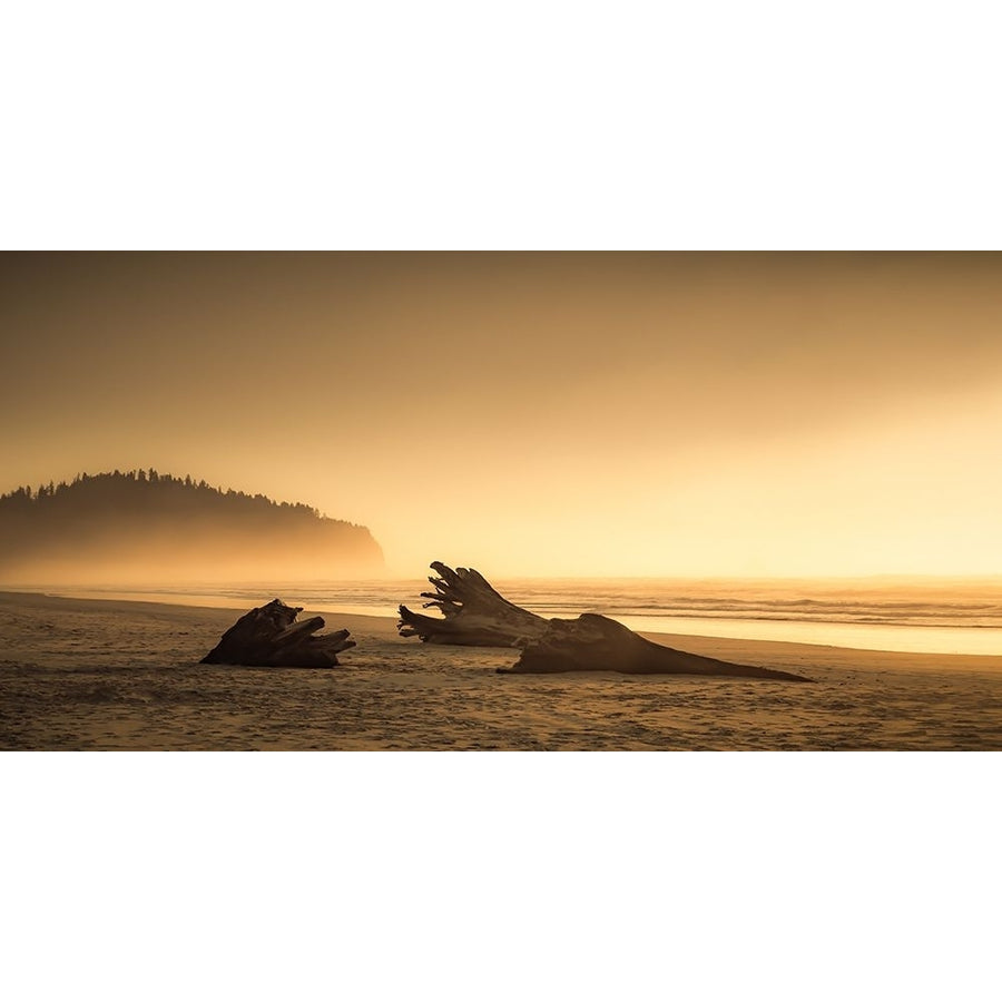 Solitary Beach at Sundown Poster Print - Don Schwartz-VARPDX85824 Image 1