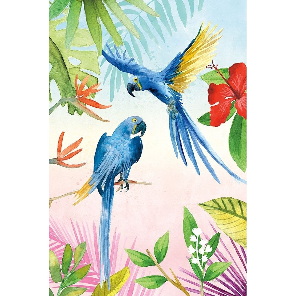 Parrots and Palms II Poster Print - Mercedes Lopez Charro-VARPDX85828 Image 1