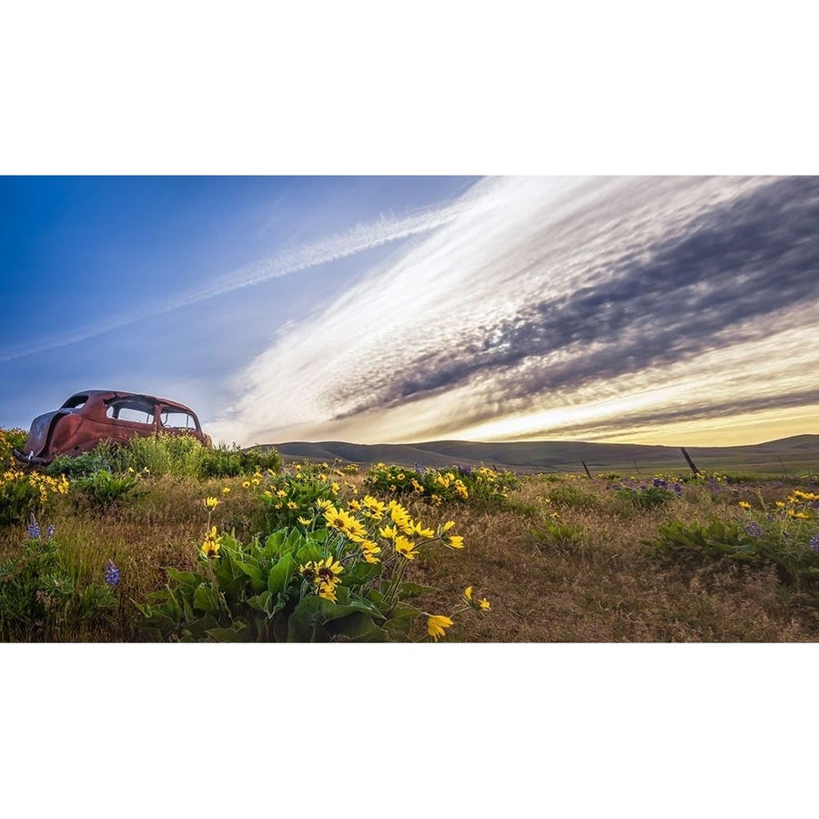 Rusty Old Car in the Wildflowers Poster Print - Don Schwartz-VARPDX85865 Image 1