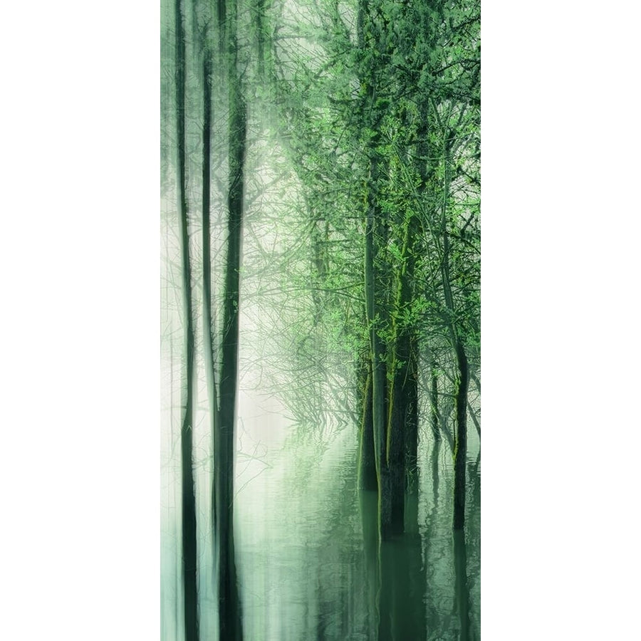 Forest in the Lake I Poster Print - Don Schwartz-VARPDX85868 Image 1