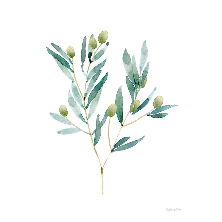 Gentle Olive Branch Poster Print - Mercedes Lopez Charro-VARPDX85878 Image 1