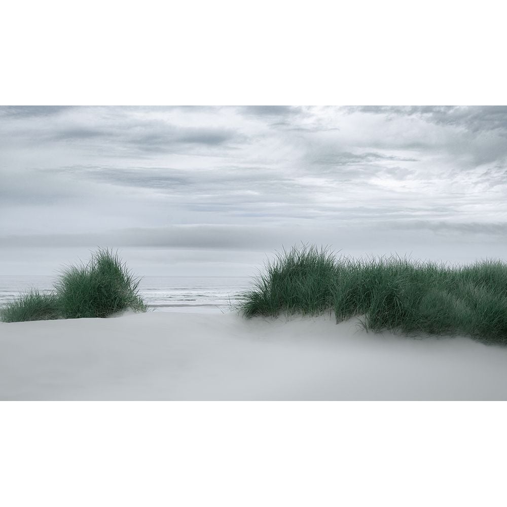 View Through the Dune Grasses Poster Print - Don Schwartz-VARPDX85876 Image 1