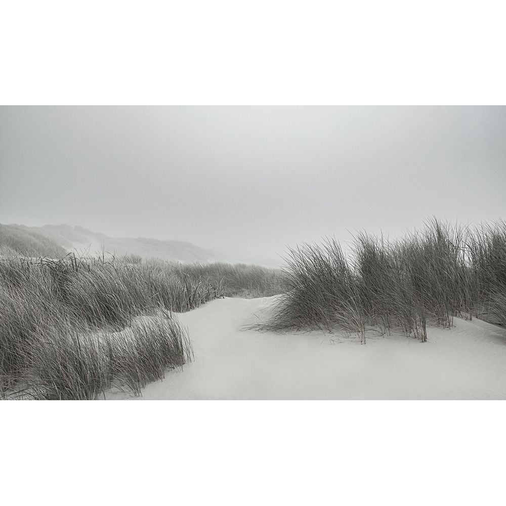 Winding Through the Dunes Poster Print - Don Schwartz-VARPDX85919 Image 1