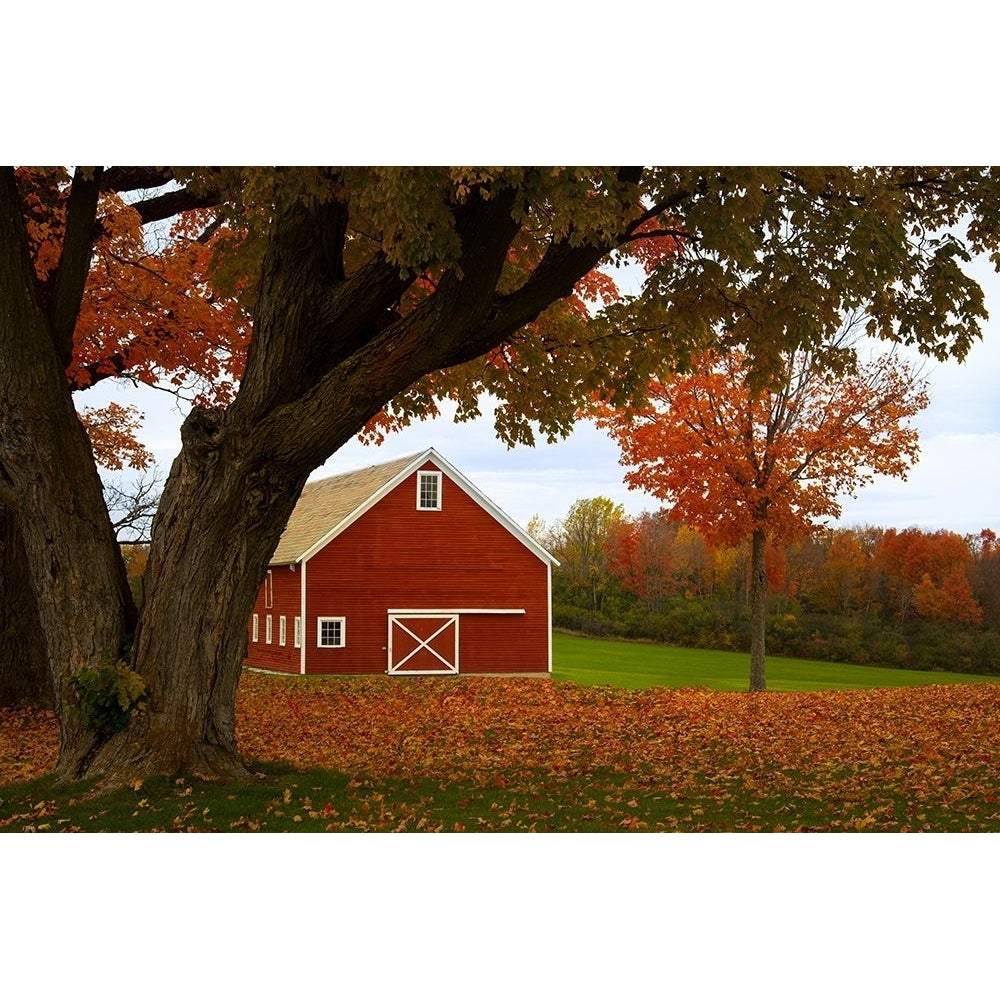 Red Barn Along a Country Road Poster Print - Don Schwartz-VARPDX85910 Image 1