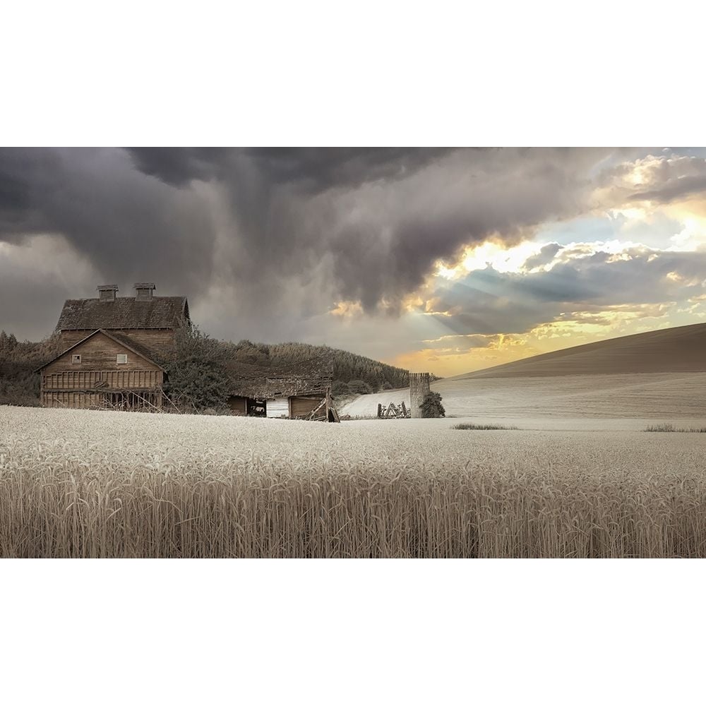 Abandoned in the Field of Wheat III Poster Print - Don Schwartz-VARPDX85950 Image 1