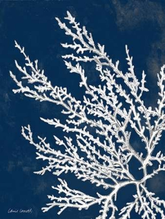 Coastal Coral I Poster Print by Lanie Loreth-VARPDX8598LL Image 1