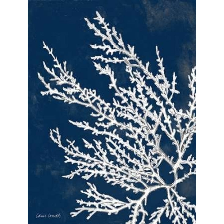 Coastal Coral I Poster Print by Lanie Loreth-VARPDX8598LL Image 2